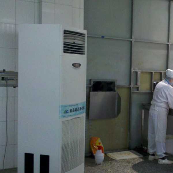 定西食品正负离子空气杀菌器